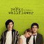 the-perks-of-being-a-wallflower-hollywood-movie-wallpaper01
