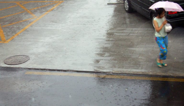 Speaking to the Rain, by Donald Illich