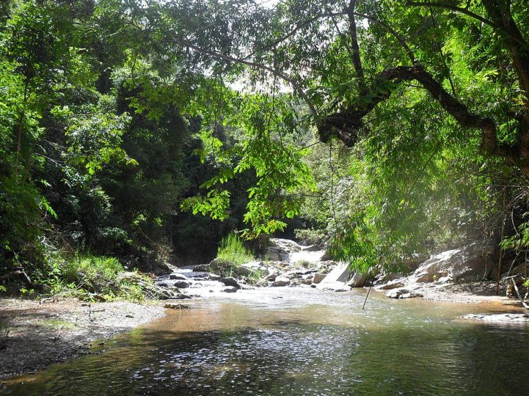 Two Poems by Lê Phạm Lê