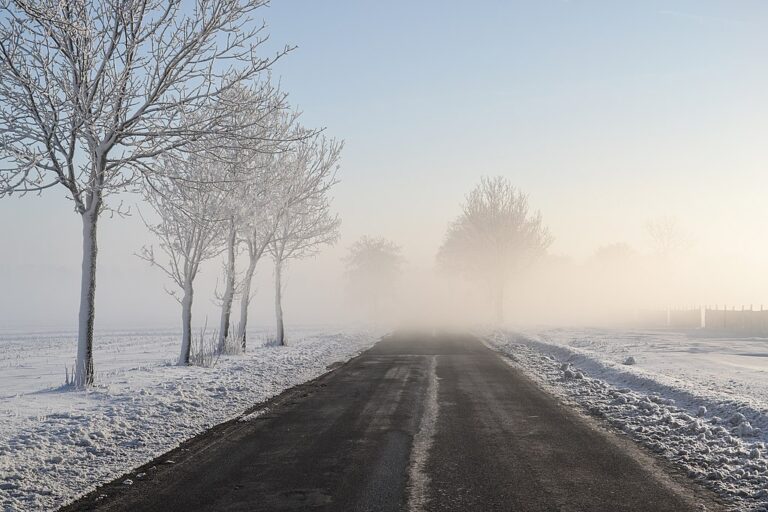 Two Poems by Anna Idelevich