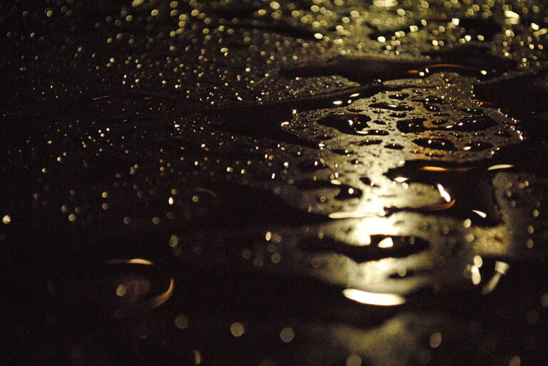 Two Poems by Lilly Hallock
