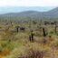2048px-Chihuahua_Desert_SW_of_Tula,_Municipality_of_Tula,_Tamaulipas,_Mexico_(24_September_2003)