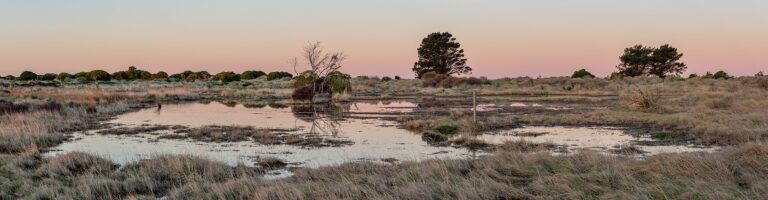 Four Poems by Gregory McGreevey