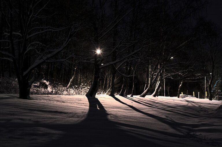 Two Poems by Ann Quinn