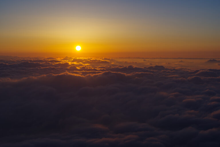 Shadow is the Corpse of the Sun by Jane Rosenberg LaForge