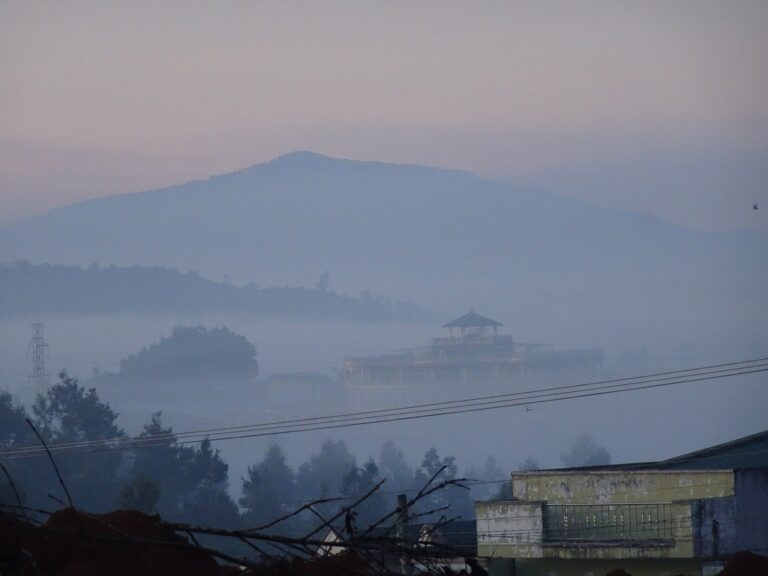 Still Mourning on a Foggy Morning After Grandma’s Funeral by Joan Leotta