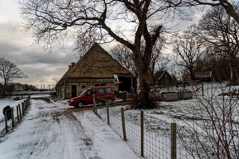 That Winter Afternoon by Michael Gushue