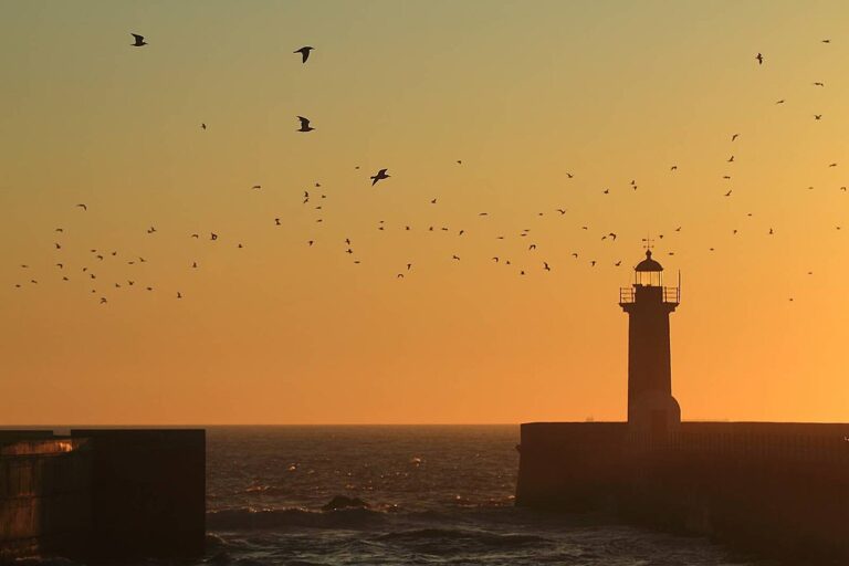 Three Poems by Mary Beth Hines