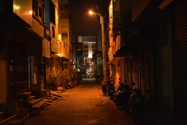 Three Poems by Juliana Schifferes