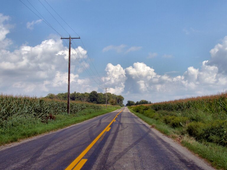 Two Poems by Rebecca Dietrich