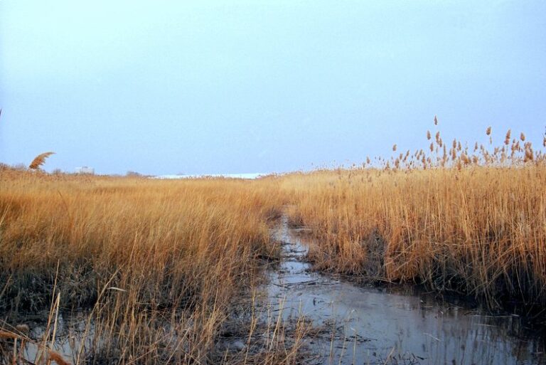 Three Poems by Clifford Bernier