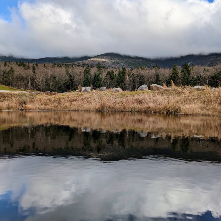 Two Poems by Chris Biles