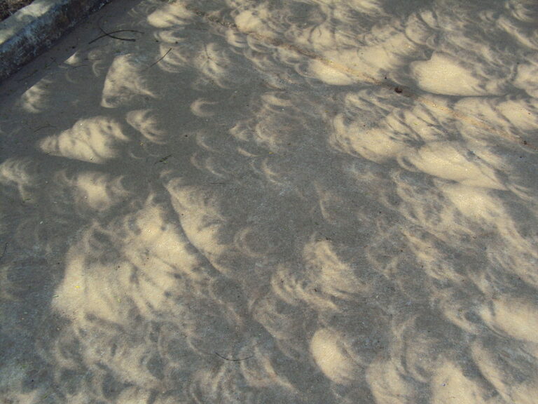 Three Poems by Suzanne Frischkorn