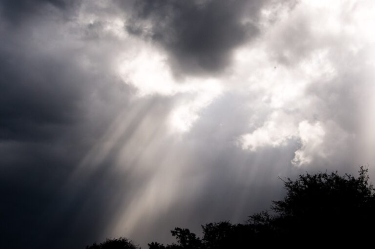 Two Poems by J. Joy “Sistah Joy” Matthews Alford