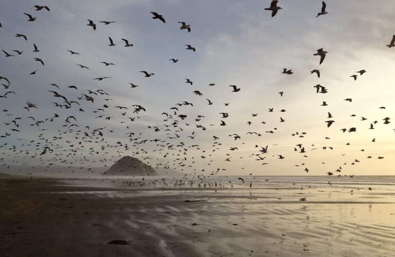 Two Poems by Faith Cotter