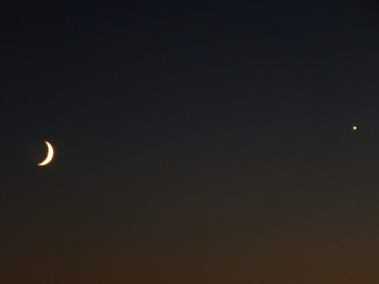 Two Poems by Sandra McRae