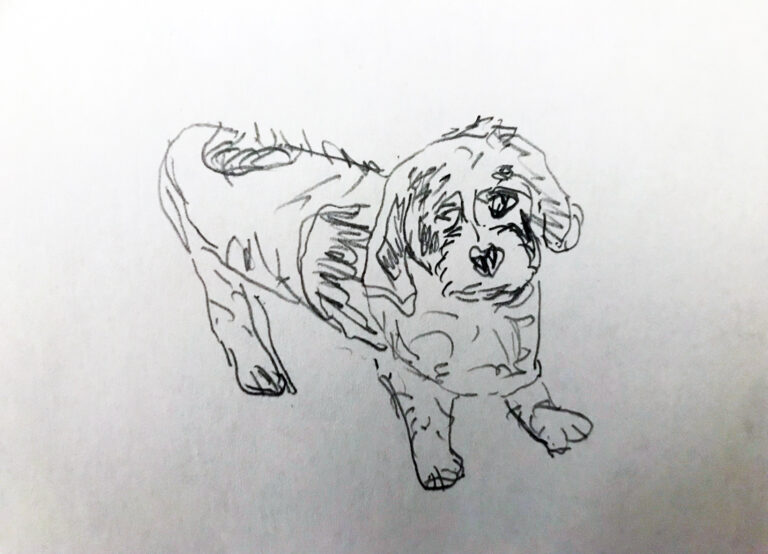 Three Poppy Poems by Ori Z Soltes