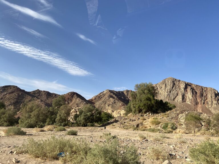 Four Poems by Rachel M. Clark