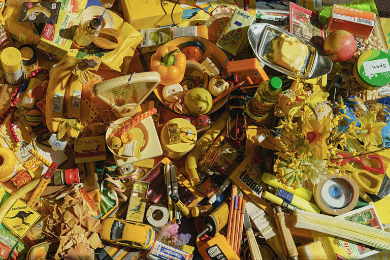 A Disabled Person’s Guide to Survival by Emily Pinkerton