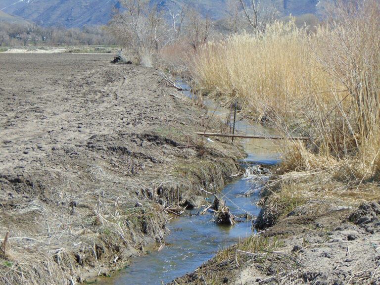 Two Poems by Emma Loomis-Amrhein