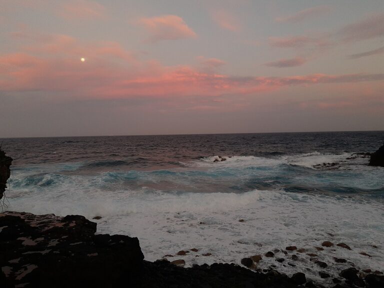 Two Poems by D.R. James