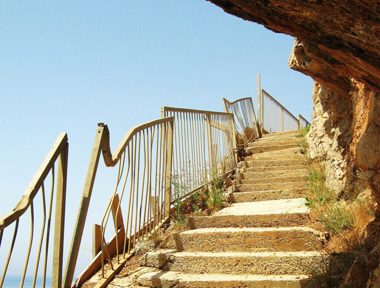 Three Poems By Michael Young