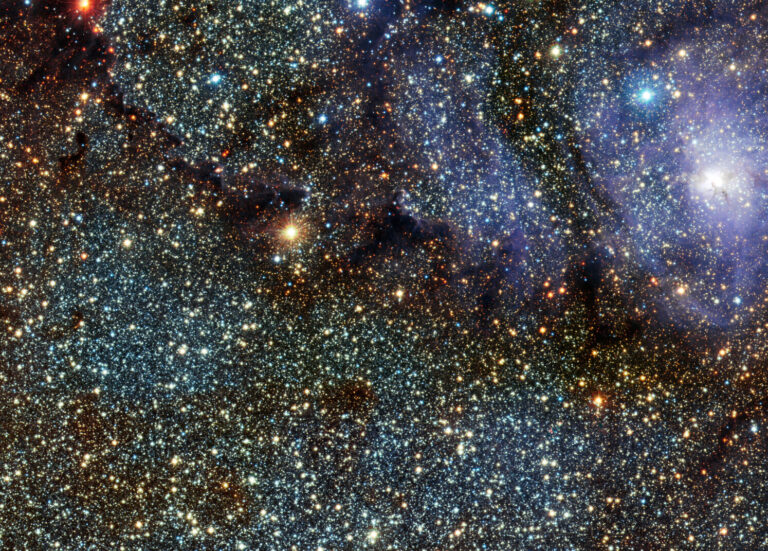 Two Poems by Tony Nicholas Clark