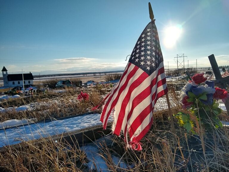  IF FREEDOM DIES by Alan Abrams