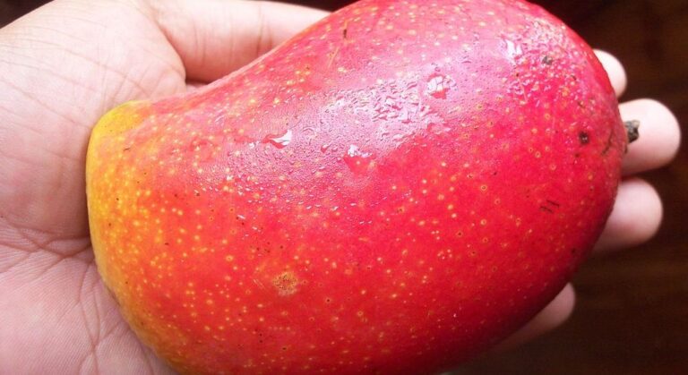 Two Poems by Isabelle Foster