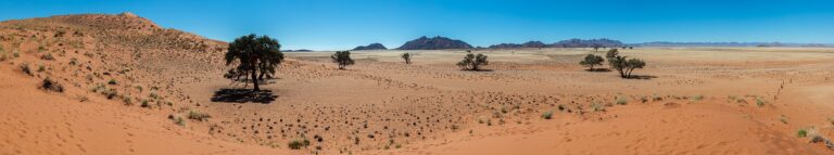 Two Poems by Ori Soltes