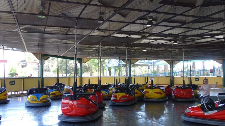 Four Poems by Mary Ann Larkin