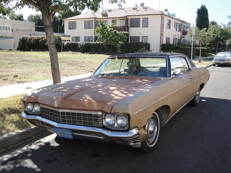 Two Poems by Dianne L. Knox