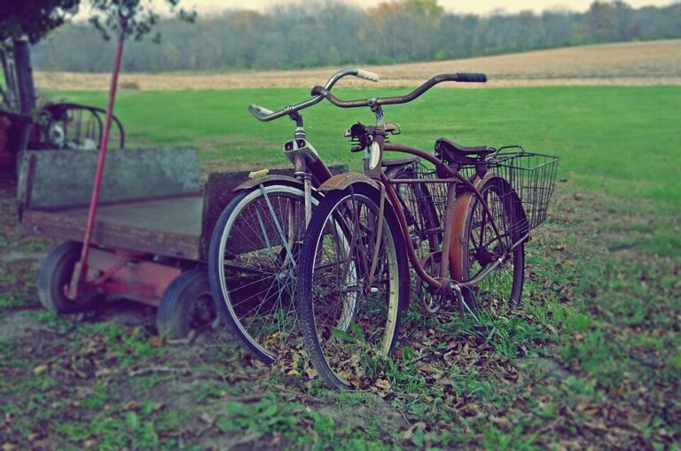 Five Poems by Donna Denizé