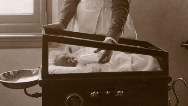 Incubators at Coney Island, 1913, A Sestina, by Courtney Hitson